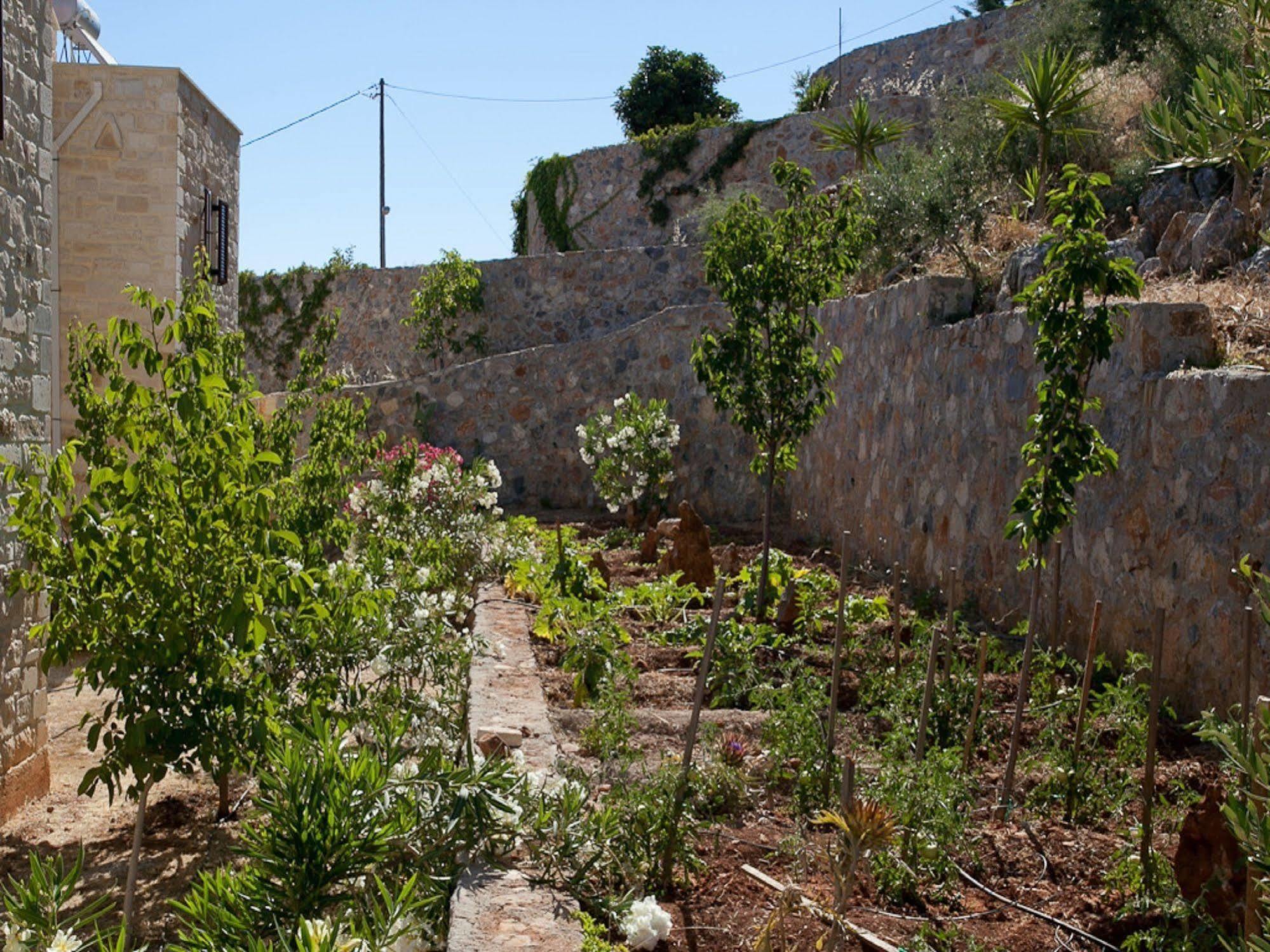 Villa Apollo - Saint George'S Retreat Village Kokkino Chorio Extérieur photo